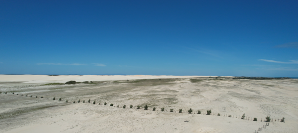 Imagem 1 de Terreno amplo à beira-mar em Tatajuba de  80.0000 m²